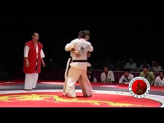 2010 WKO World Kumite Championships Middleweight Finals