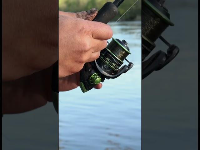 Feeder Concept PILOT 7 