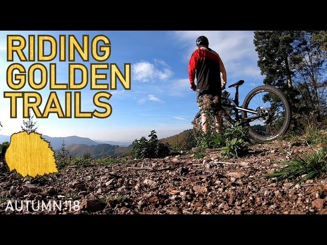 Mountainbike riding GOLDEN TRAILS | CANYON Spectral