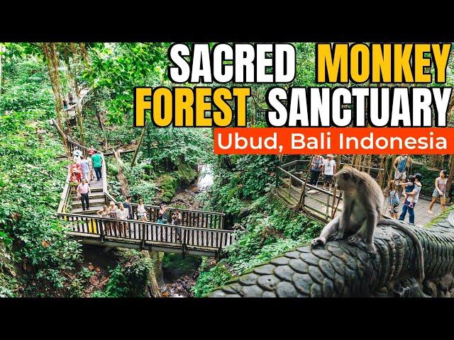 The Sacred Monkey Forest Sanctuary | Monkey Forest Ubud #bali #ubud #monkeyforest