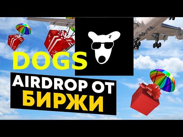 Майнинг DOGS На Бирже | Успей Забрать Халявные Токены DOGS