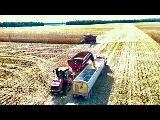 Case IH 9250 Combine Picks a 690 Acre Field of Corn With a 12 row Geringoff Folding Corn Head S3 E30