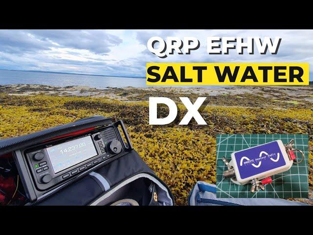 Saltwater DX on a QRP End Fed Half Wave Antenna - 6000 miles on 10w SSB! #hamradio #hamr