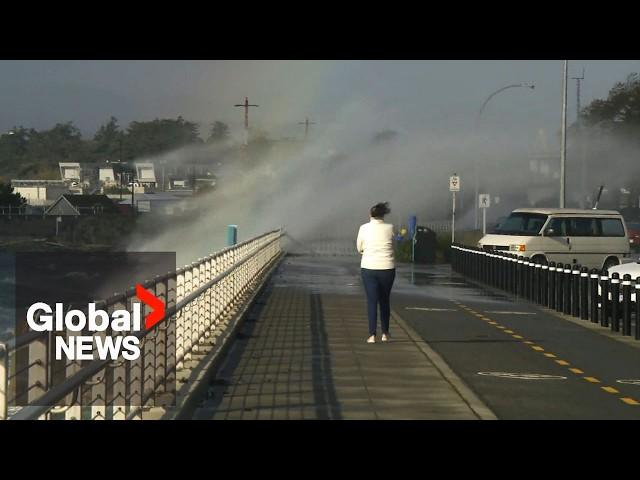 BC storm: Destructive wind topples trees, knocks out power on South Coast