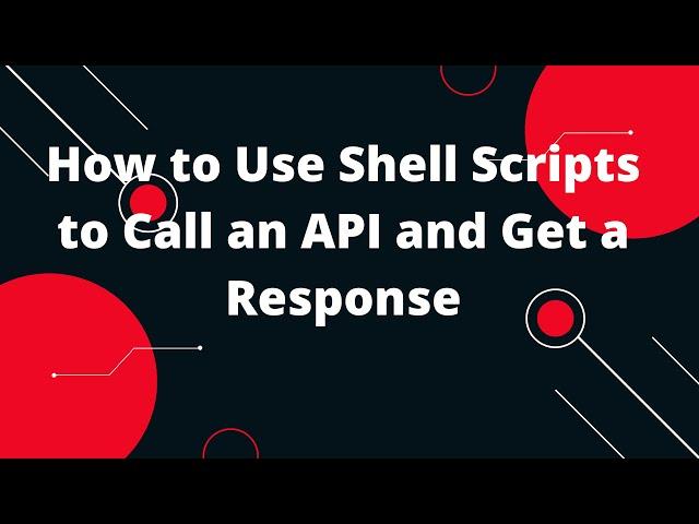 How to Use Shell Scripts to Call an API and Get a Response | Bash Scripting Tutorial