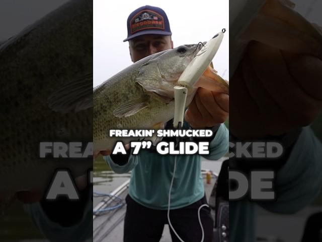THIS Is Why You Fish BIG Swimbaits! #fishing