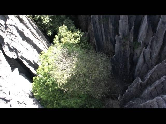 Tsingy Rope Bridge