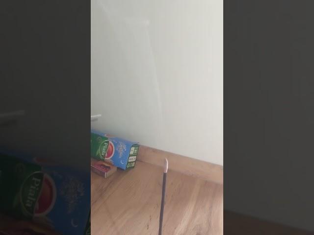 Ақша свечасы