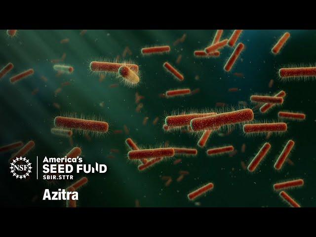 Engineering bacteria to treat skin disease – Azitra