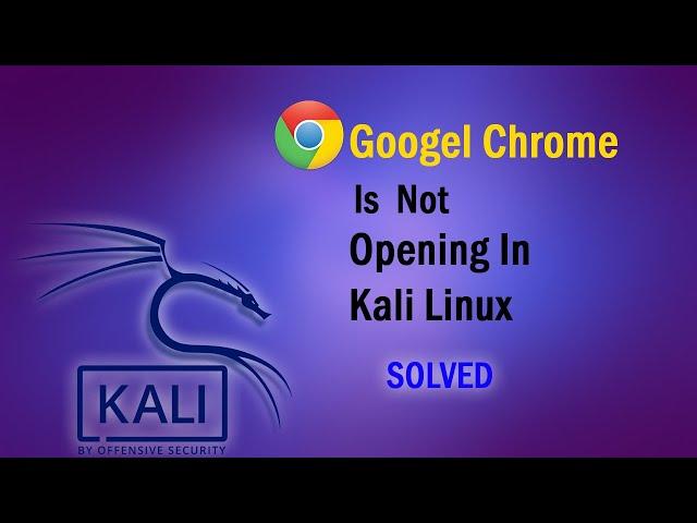 how to Fix Google Chrome Not Opening On Kali Linux | 100%