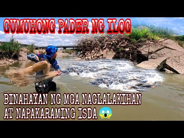 Gumuhong Pader Ng Ilog Ginawang Tirahan Ng Mga Naglalakihan At Napakaraming Isda