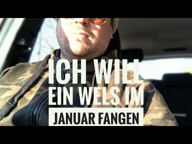 Wels Angeln im Januar  kurze Session nach Arbeit und Wochenende. #wels #angeln #welsangeln