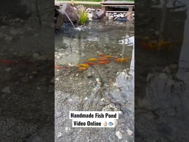 How To Make Handmade Wild Life Fish Pond  #koipond #fishpond #koi