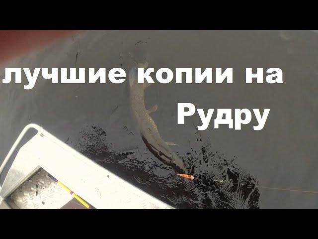 Лучшие копии на Рудру