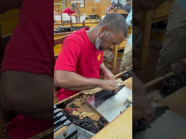 Arturo Fuente Factory Behind The Scenes