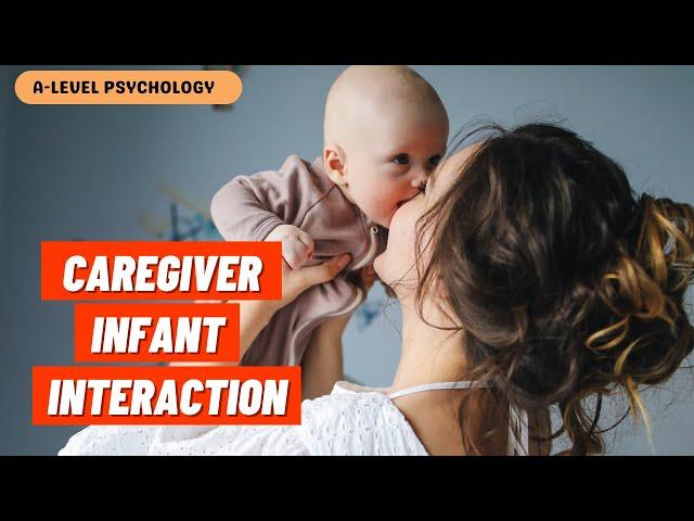 Caregiver-Infant Interaction | Attachment | AQA Psychology