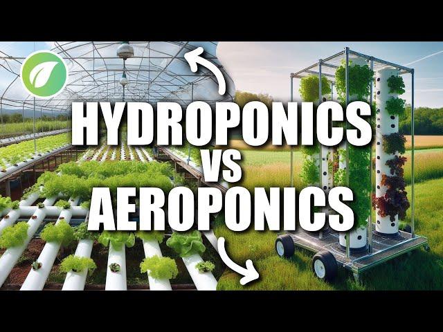 Which Method Reigns Supreme: Hydroponics or Aeroponics