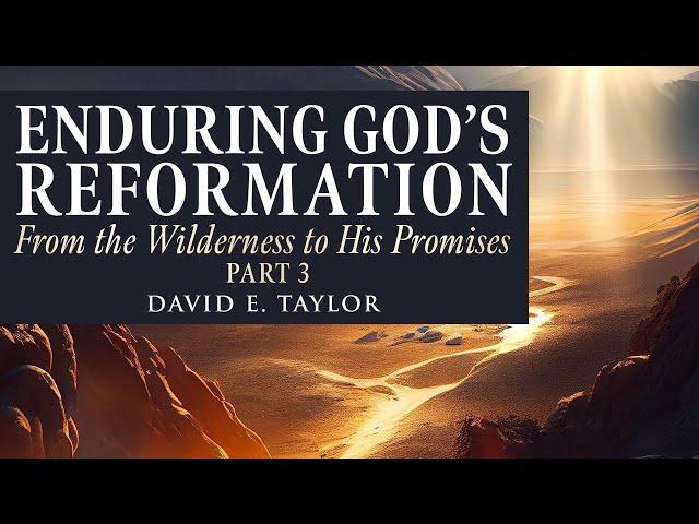 Enduring God's Reformation: From the Wilderness to His Promises Pt. 3 - David E. Taylor