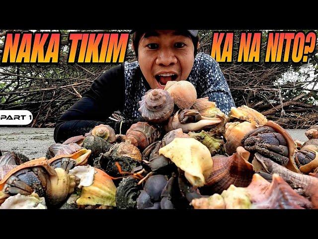 P1 - Hermit Crab Catch and Cook - EP1497