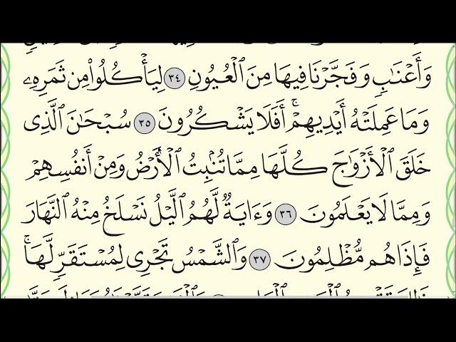Коран. Сура Йасин (Ясин) № 36. Аяты 35-40. #коран #ясин #мечеть