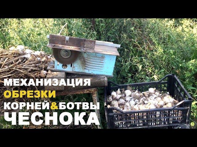 Быстрая обрезка ботвы и корней чеснока. Автоматизация в быту-продолжение