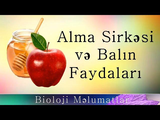 Alma Sirkəsi və Balın Faydaları