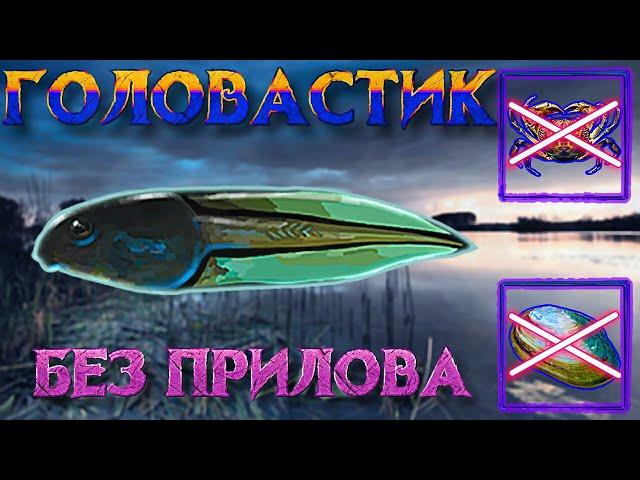 ГОЛОВАСТИК БЕЗ ПРИЛОВА!!! Как?! ~|рр3 2022|~