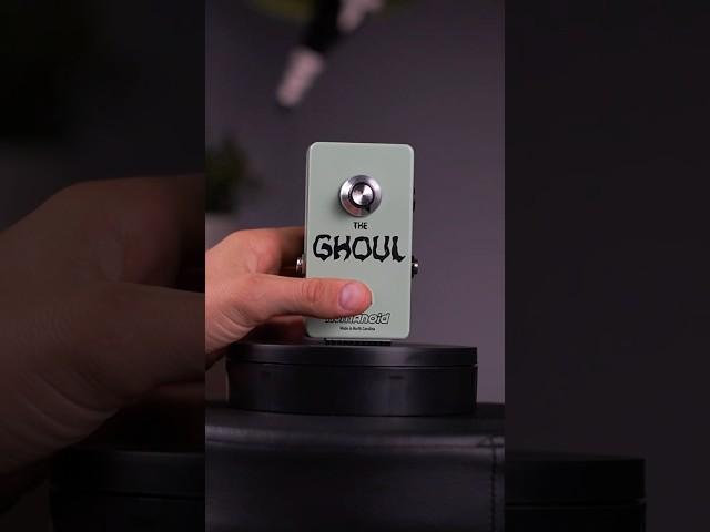 Fuzz pedal to END ALL fuzz pedals | The Ghoul #fuzzpedal #guitarpedals #theaxeguitarchannel