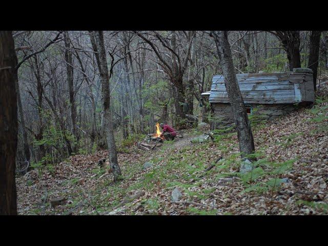 Trip in a chestnut forest. Sleeping in a 50 year old abandoned stone cottage with my big Bonny