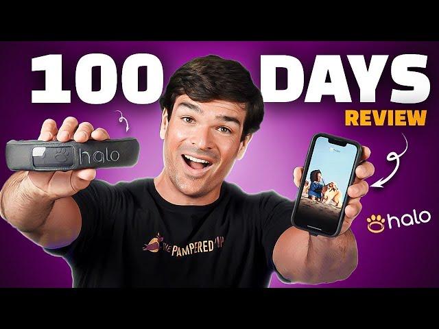 Halo Collar Reviews 100 Days Later (The 2+ Strikes Back!)