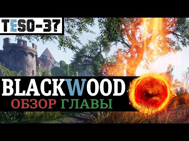 Blackwood ОБЗОР. Чёрный лес, спутники и Update 30 с кучей изменений. TESO(2021)