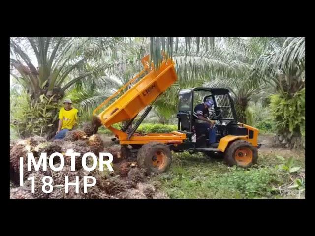 Vehículo Utilitario 4X4 - Motor KUBOTA