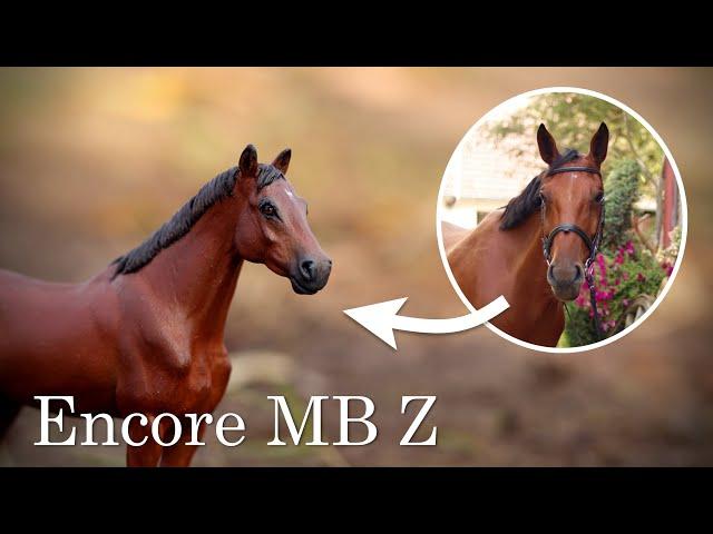 Custom | Encore MB Z| Malowanie modelu Mojo na portret prawdziwego konia maści gniadej |