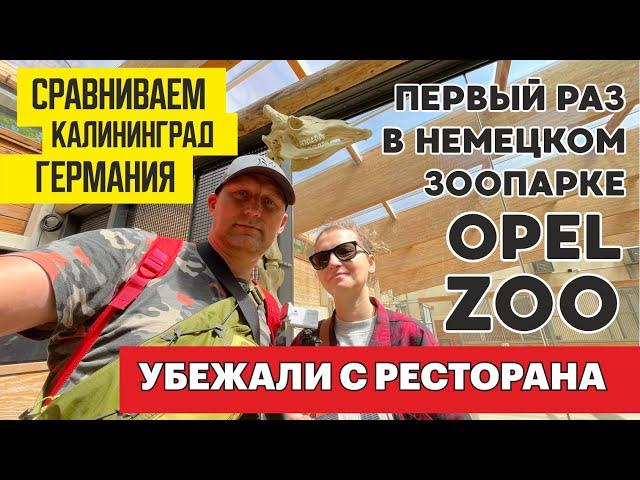 17 - ЗООПАРК в ГЕРМАНИИ  "OPEL ZOO" РЕСТОРАН ОТСТОЙ ОДИН ФАСТ ФУД /ИЩЕМ ГДЕ ПОЕСТЬ /ЖИЗНЬ В ГЕРМАНИИ