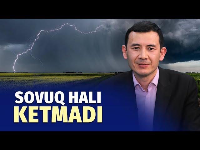 Havo soviydi, ba‘zi joylarda chigit ekishga hali erta – iqlimshunos