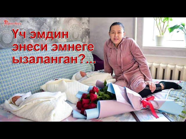 Үч эмдин энеси эмнеге ызаланган?... |Кыргыз Туусу