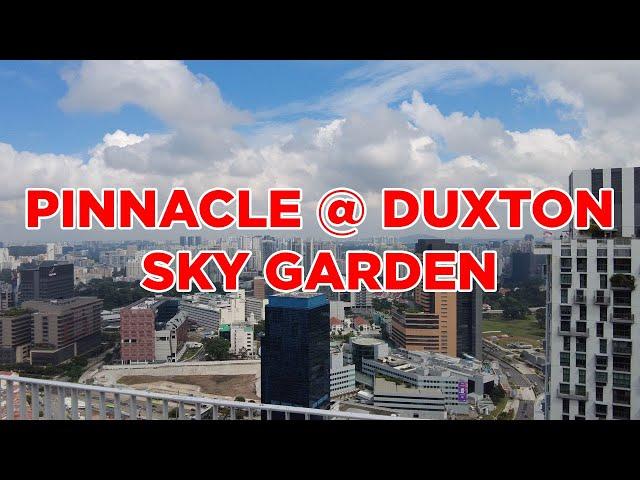 Pinnacle Duxton Sky Garden || Walking Singapore