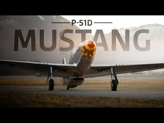 P-51D MUSTANG - AEROBATICS + PERFECT LANDING (NOOKY BOOKY IV) IN 4K 100% RAW SOUND