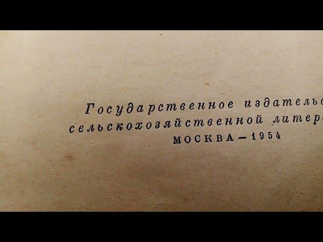 Пасека.Вывод маток,без переноса личинок..Простой  метод,чтобы получить   хороших маток.