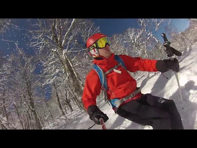 Skiing powder on a bluebird day in Nozawa Onsen, Japan