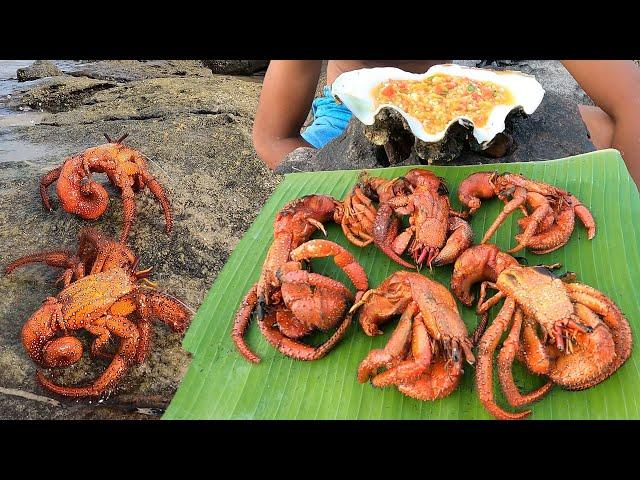 Giant Hermit Crabs - Catch and Cook - Eating Very Delicious,