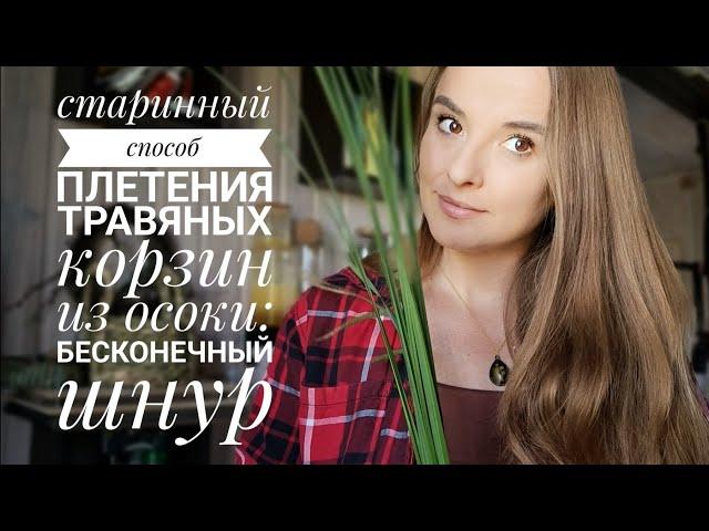 Старинный способ плетения травяных корзин из осоки:  бесконечный шнур