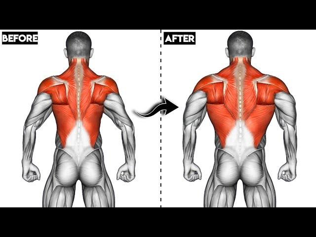 5min PERFECT BACK Workout-at Home(No Equipment)