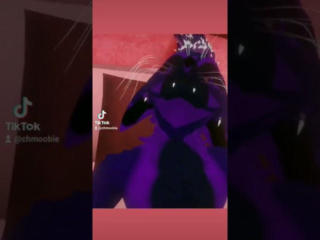 When you ERP in VRchat