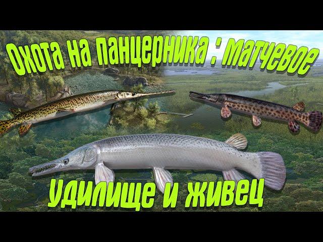 Fishing Planet PS4#  Охота на панцирника Матчевое удилище живец / Миссии мастерство