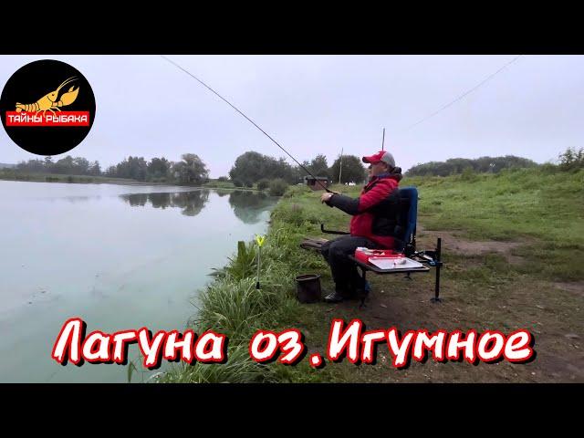 Лагуна оз. Игумное. Ловля карпа на фидер.