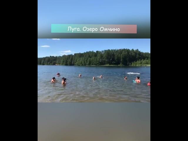 Луга. Озеро Омчино