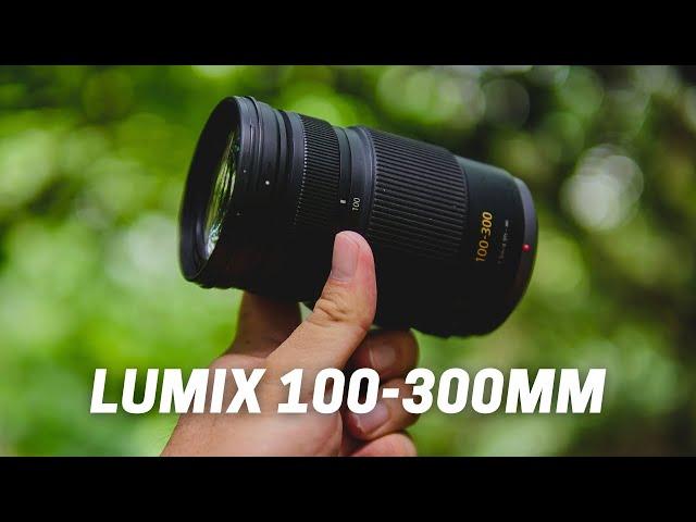 Amazing Compact & Sharp Super Telephoto Lens On A Budget - Lumix 100-300mm