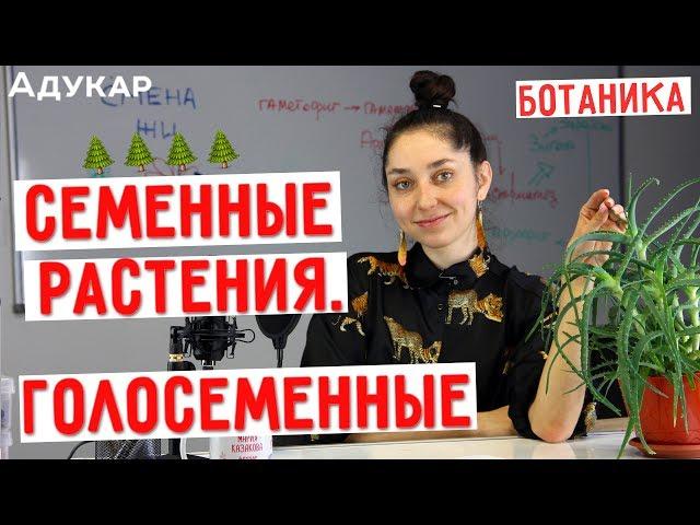 Семенные растения. Голосеменные | Биология ЕГЭ, ЦТ