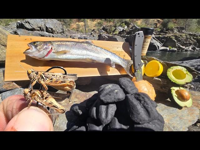 Solo Catch and Cook Trout in a Rock Oven - New Bait Works Every Time!